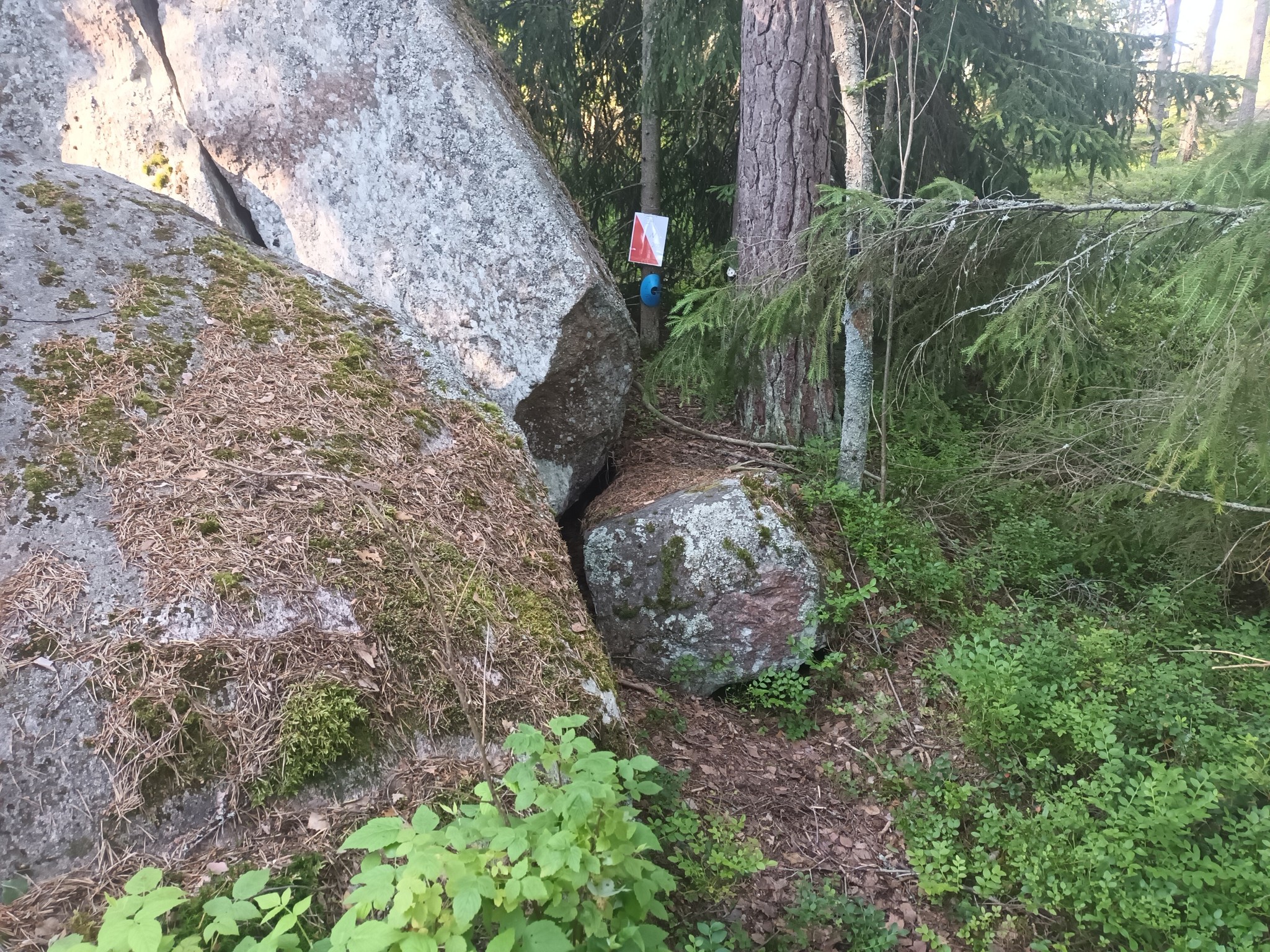 You are currently viewing SZTK Erasmus+ Sport Mobilitás 2024: Első nap reggeli futás